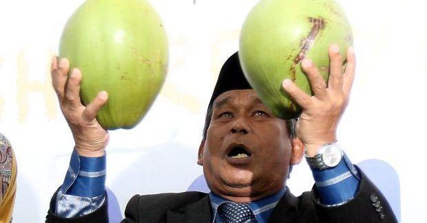 A description of the image