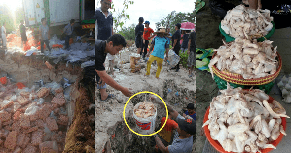 A description of the image