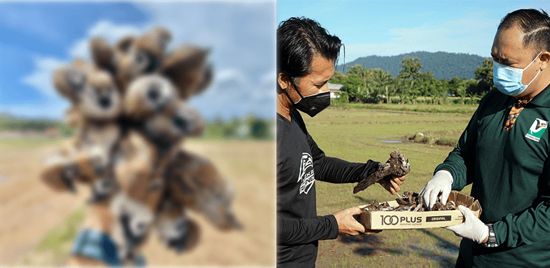 A description of the image