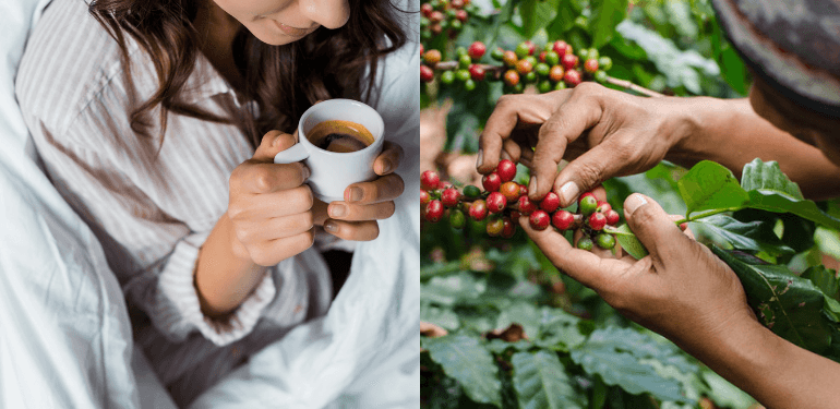 A description of the image