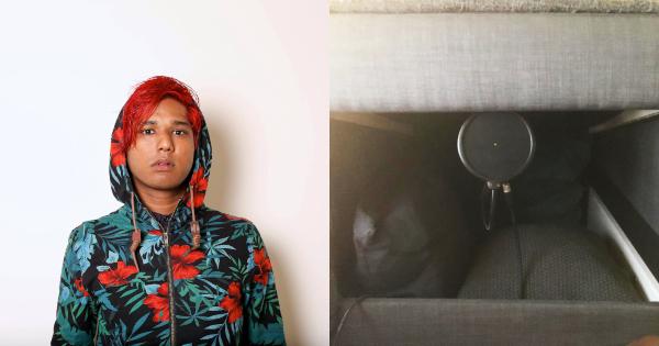 A description of the image