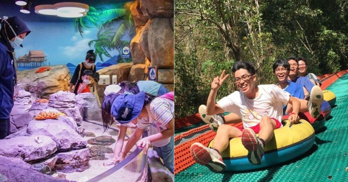 A description of the image