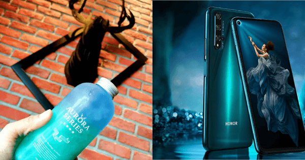 A description of the image