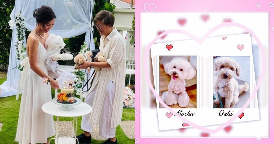 A description of the image