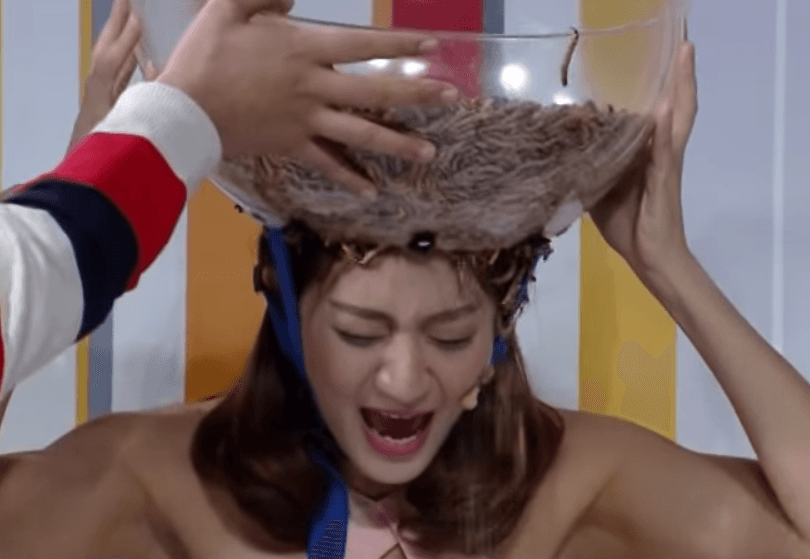 A description of the image