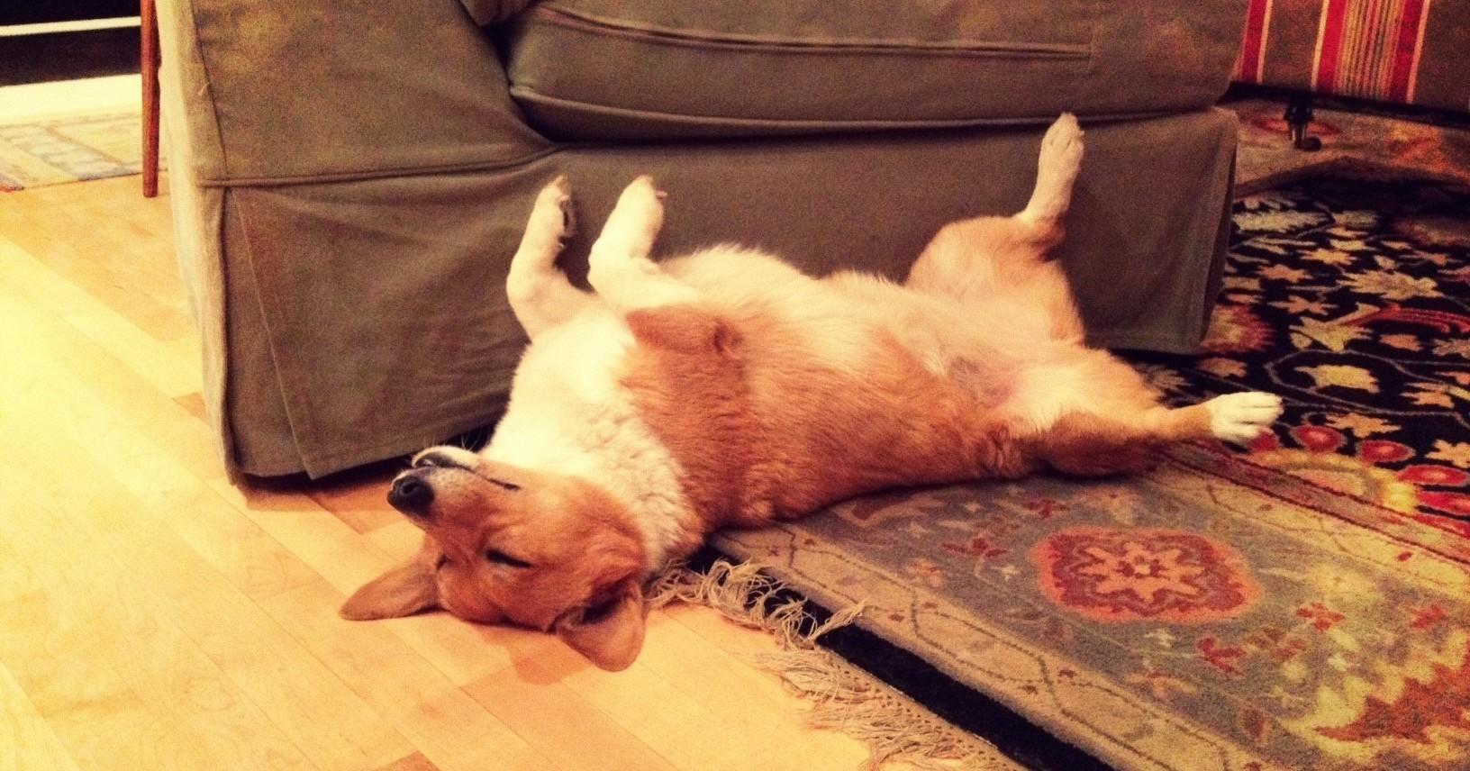 A description of the image