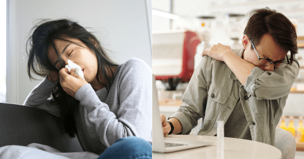 A description of the image