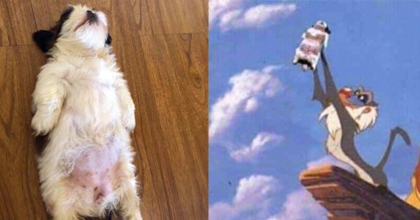 A description of the image