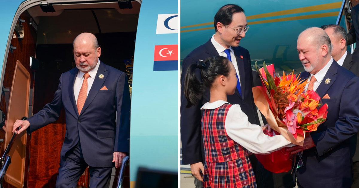 A description of the image