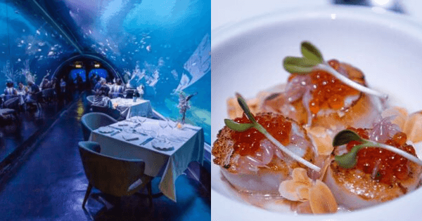 A description of the image