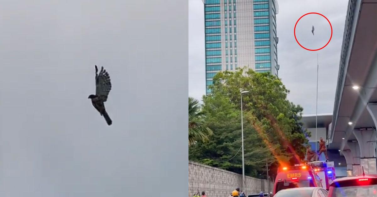 A description of the image