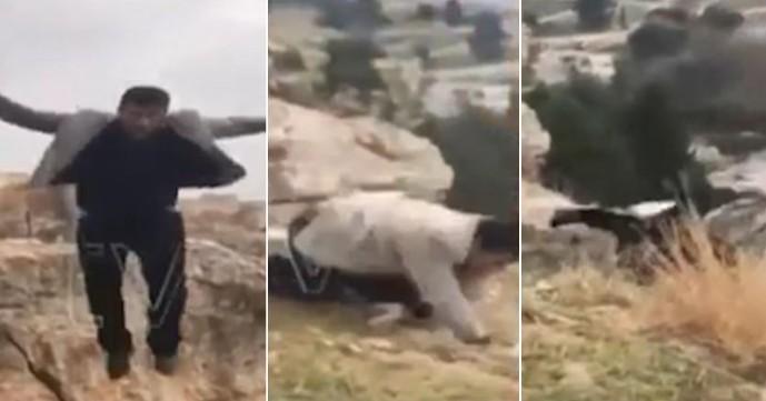 A description of the image