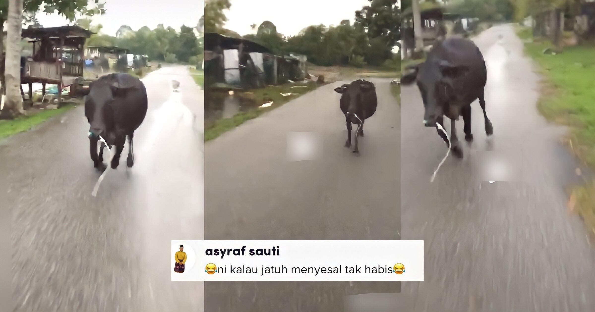 A description of the image