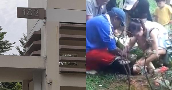 A description of the image