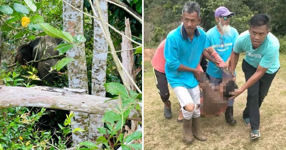 A description of the image