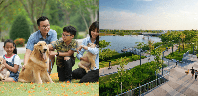 A description of the image