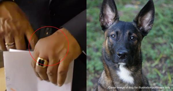 A description of the image