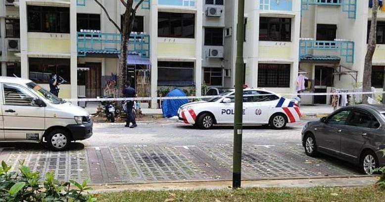 A description of the image