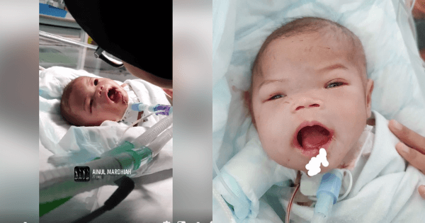 A description of the image