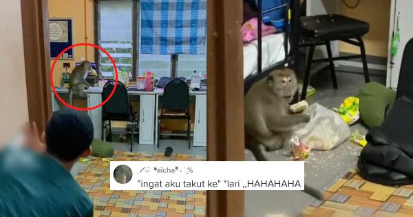 A description of the image