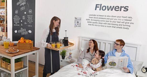 A description of the image