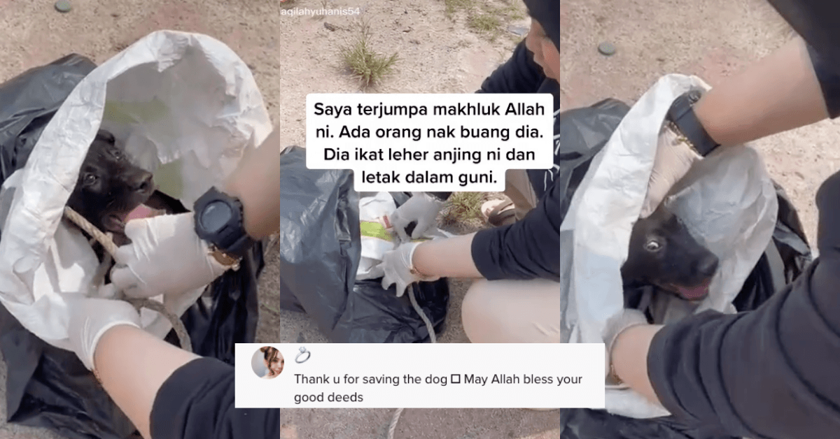 A description of the image