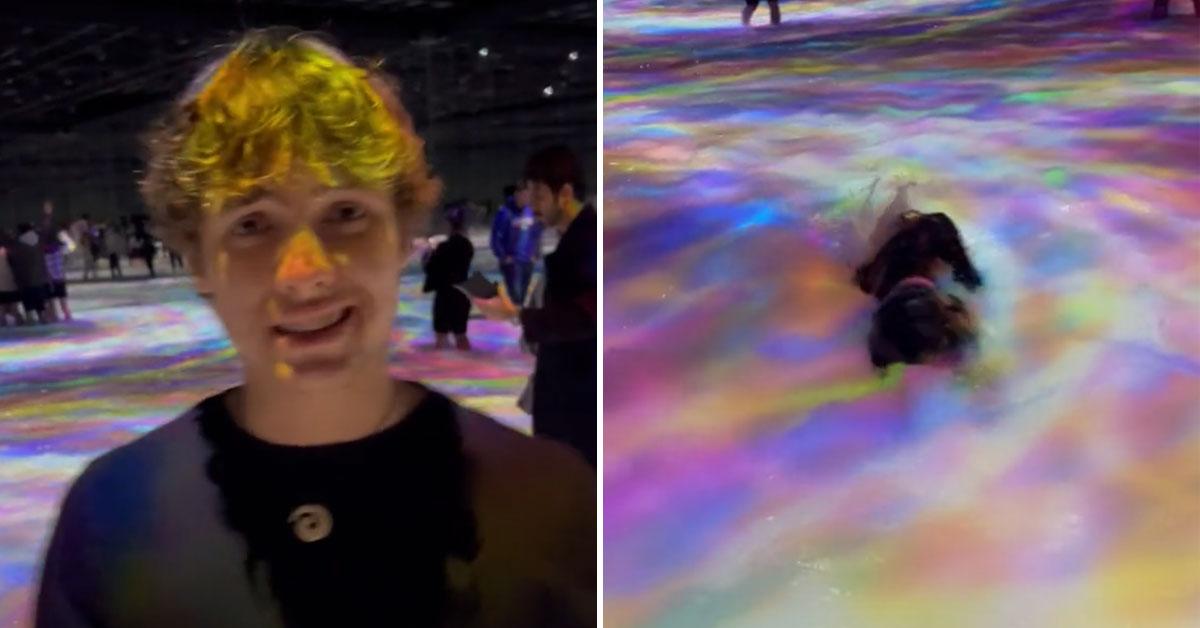 A description of the image