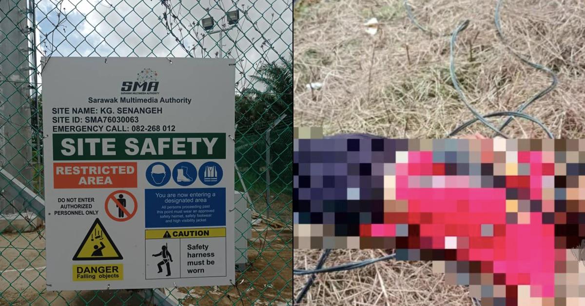 A description of the image