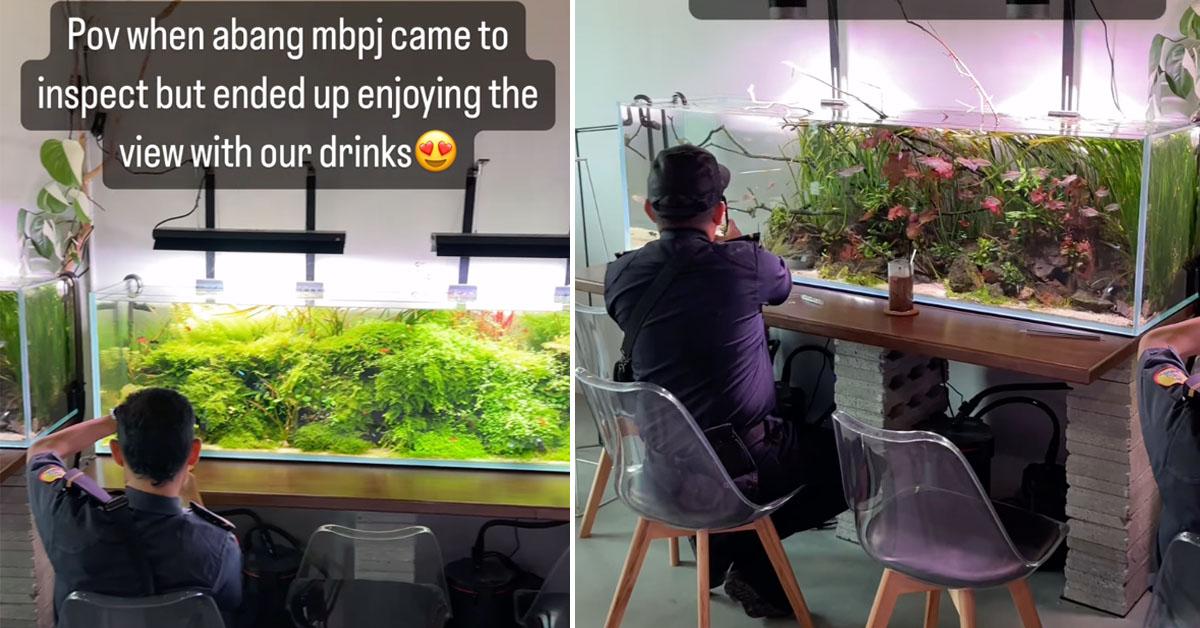 A description of the image