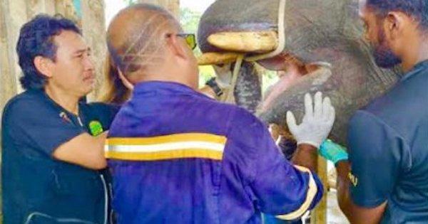 A description of the image