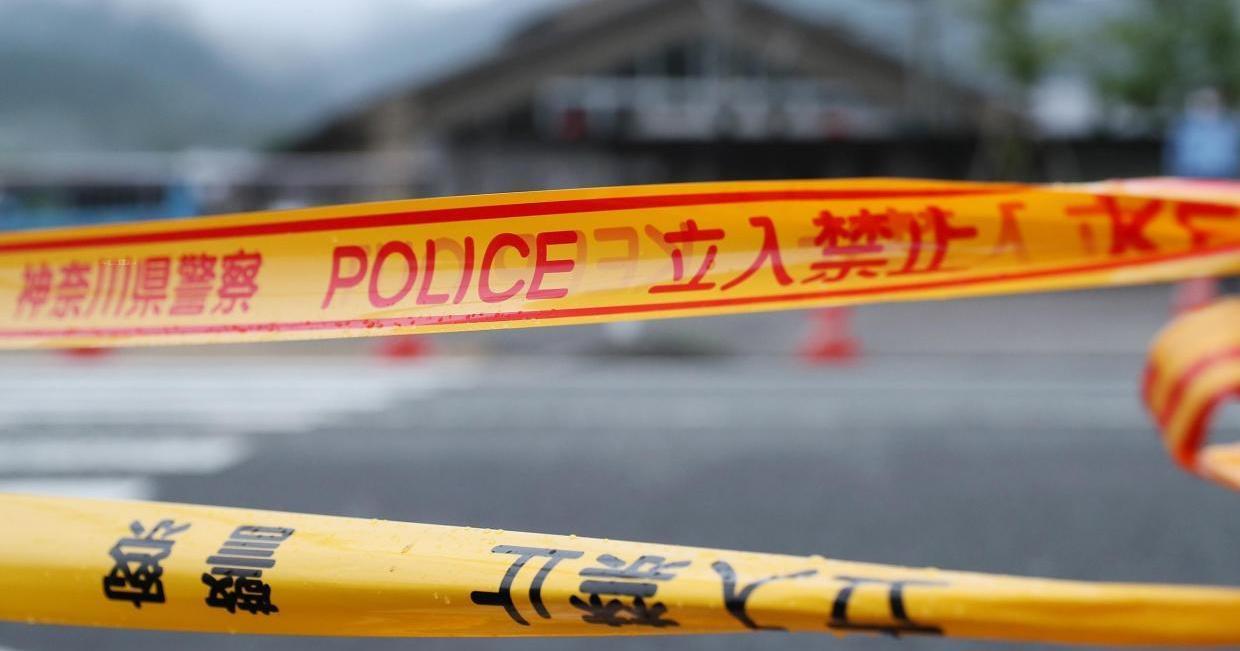 A description of the image