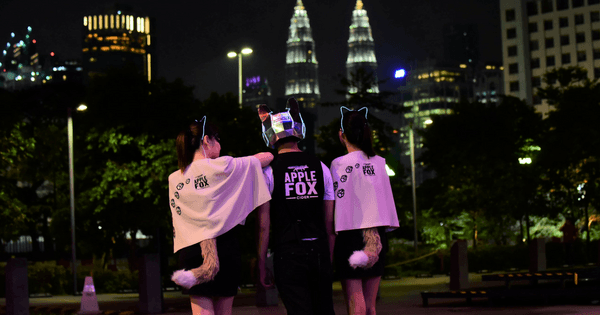 A description of the image