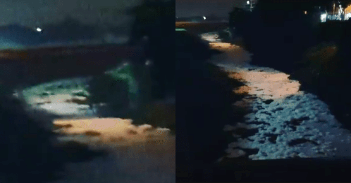 A description of the image