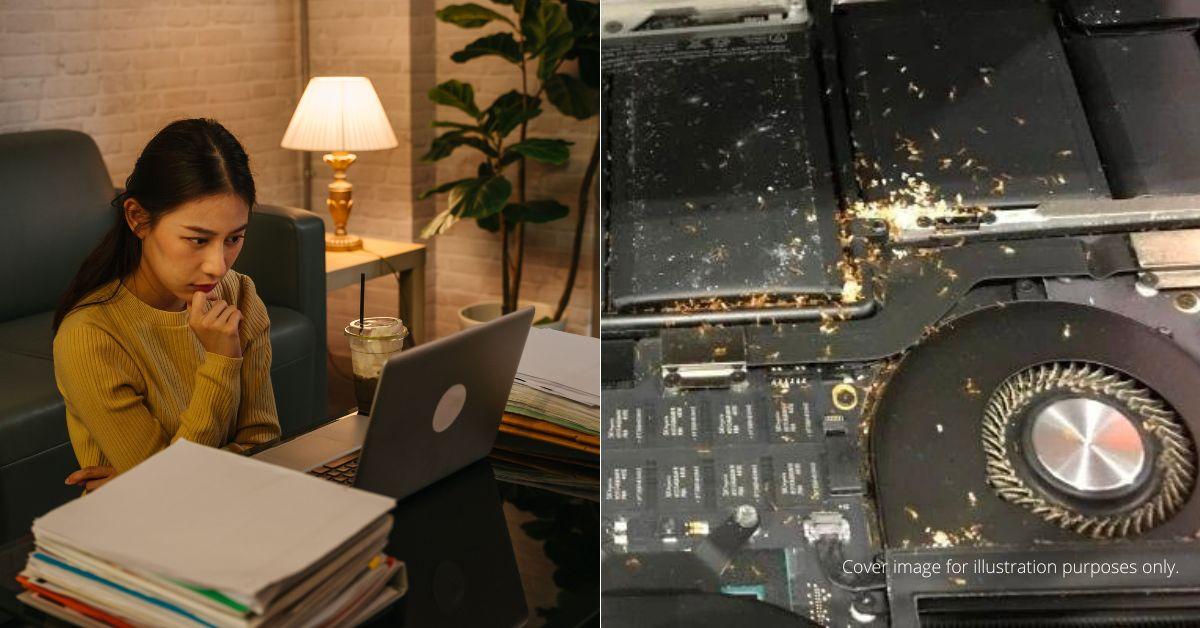 A description of the image