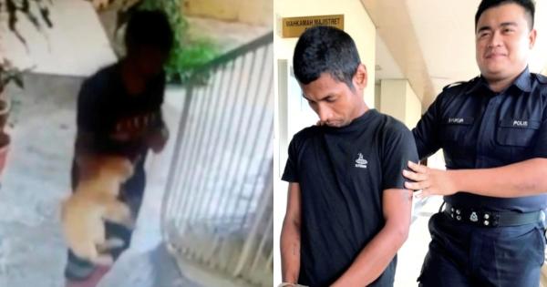 A description of the image