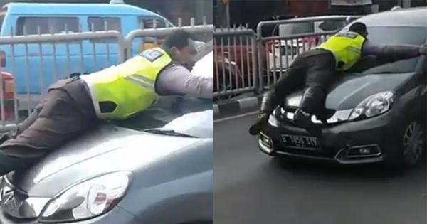 A description of the image