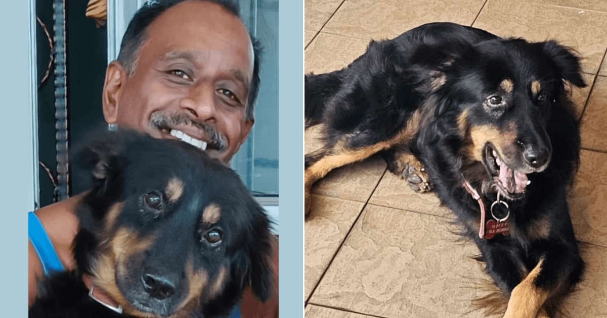 A description of the image