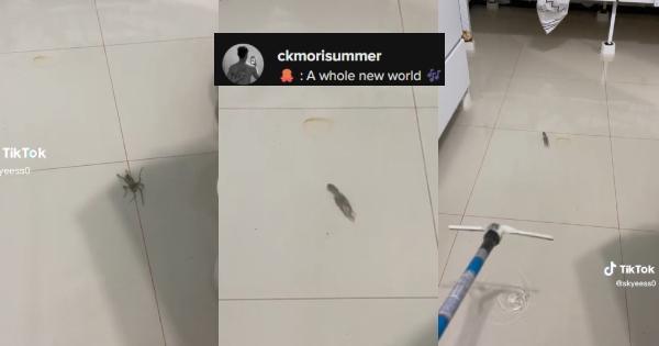 A description of the image