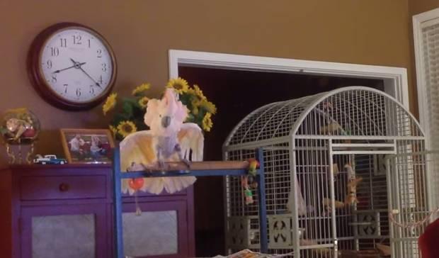 A description of the image