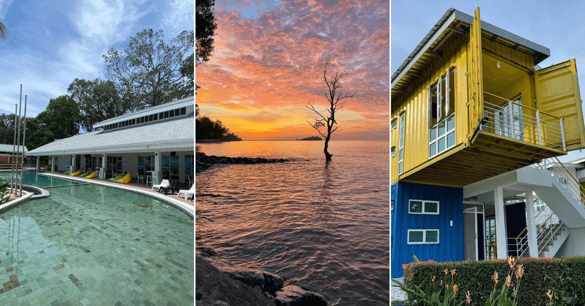 A description of the image