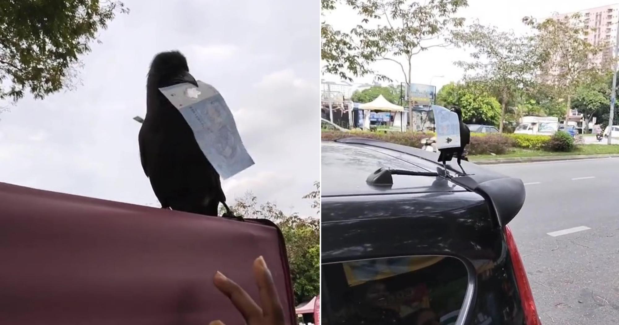 A description of the image