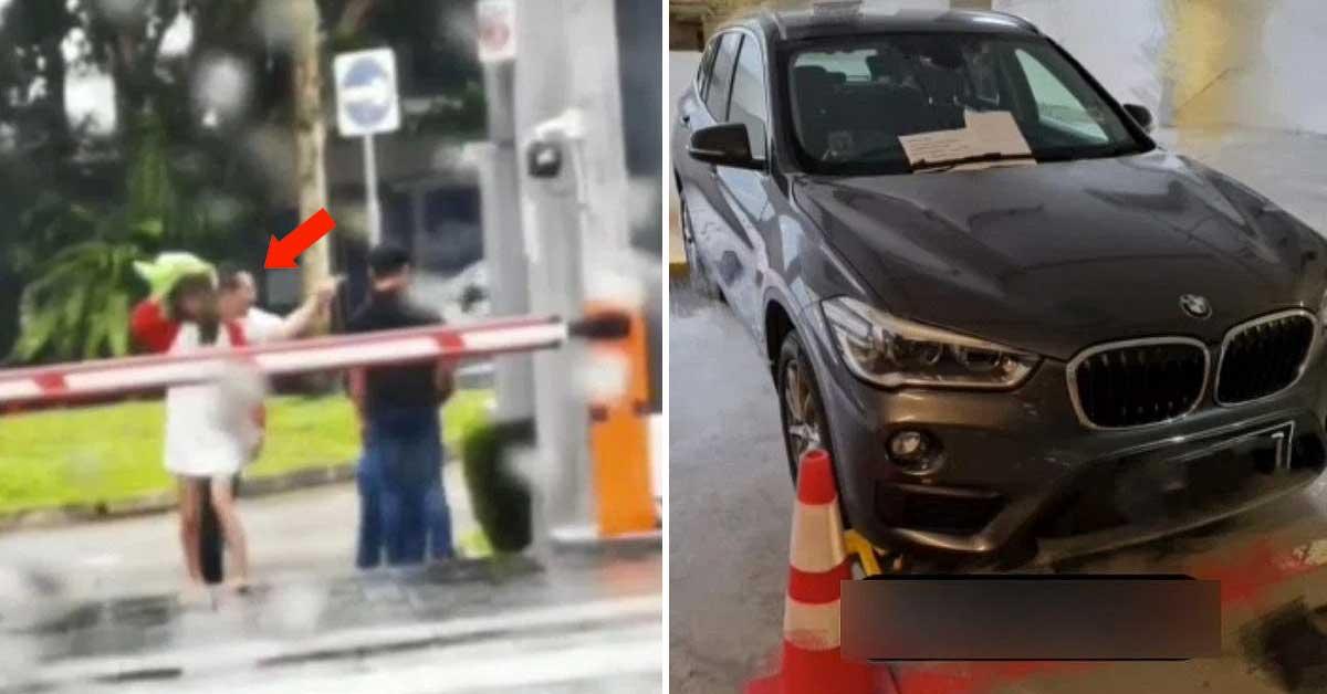 A description of the image