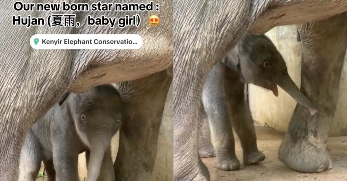 A description of the image