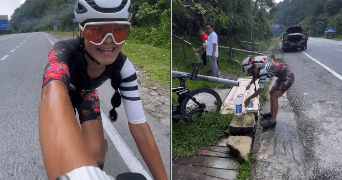 A description of the image