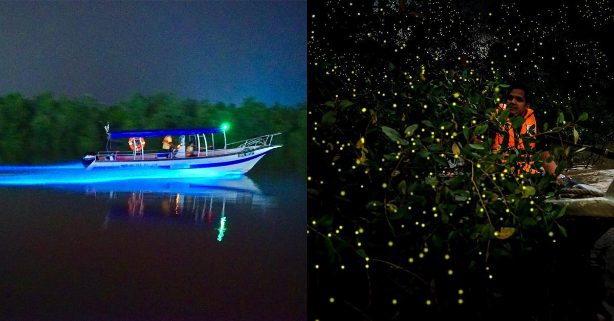 A description of the image