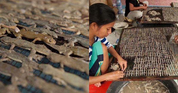 A description of the image