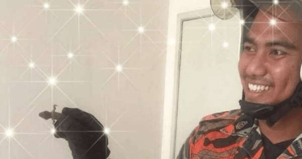 A description of the image