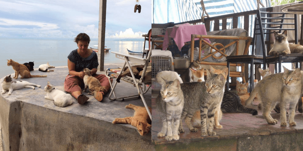 A description of the image