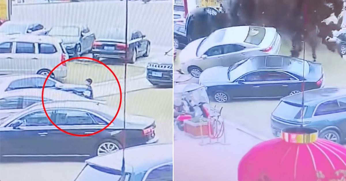 A description of the image