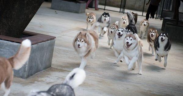 A description of the image